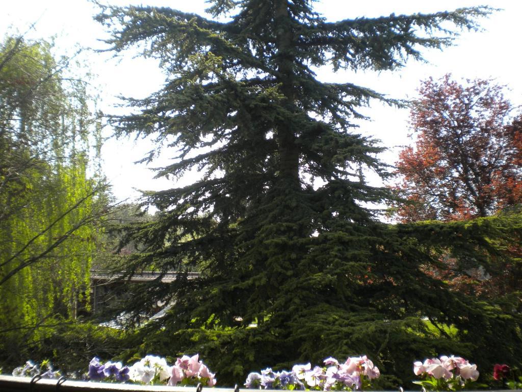 Aux Marguerites Villa Sainte-Genevieve-les-Gasny Oda fotoğraf